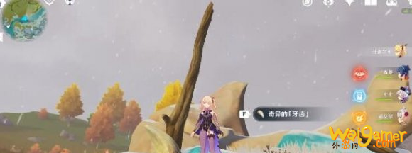 原神奇异的牙齿四个位置