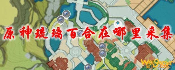 原神琉璃百合在哪里采集