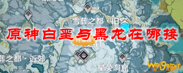 原神白垩与黑龙在哪接