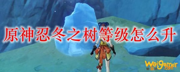 原神忍冬之树等级怎么升