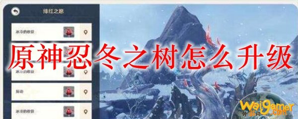 原神忍冬之树怎么升级