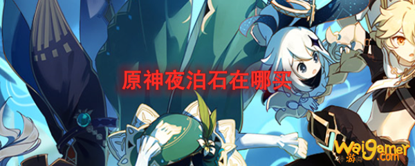 原神夜泊石在哪买