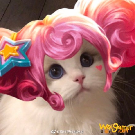 王者荣耀猫咪法师头像汇总 王者荣耀王昭君小乔妲己大乔头像