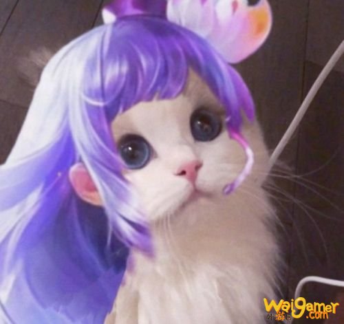 王者荣耀猫咪法师头像汇总 王者荣耀王昭君小乔妲己大乔头像