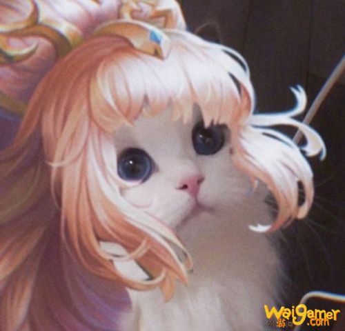 王者荣耀猫咪法师头像汇总 王者荣耀王昭君小乔妲己大乔头像