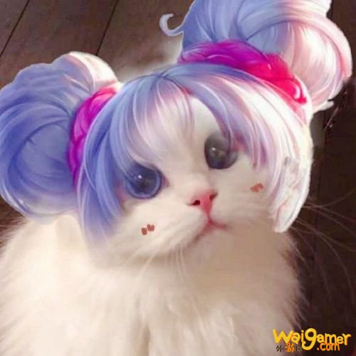 王者荣耀猫咪法师头像汇总 王者荣耀王昭君小乔妲己大乔头像