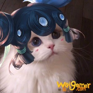 王者荣耀猫咪法师头像汇总 王者荣耀王昭君小乔妲己大乔头像