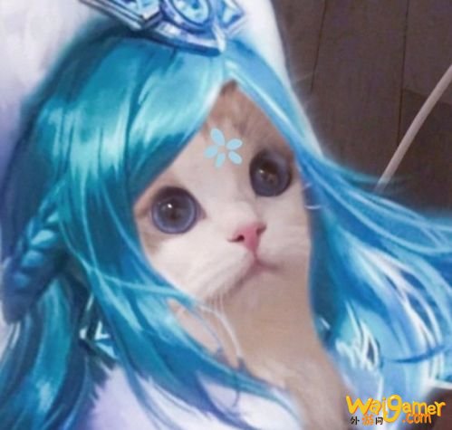 王者荣耀猫咪法师头像汇总 王者荣耀王昭君小乔妲己大乔头像