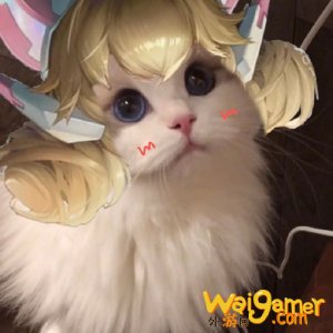 王者荣耀猫咪法师头像汇总 王者荣耀王昭君小乔妲己大乔头像