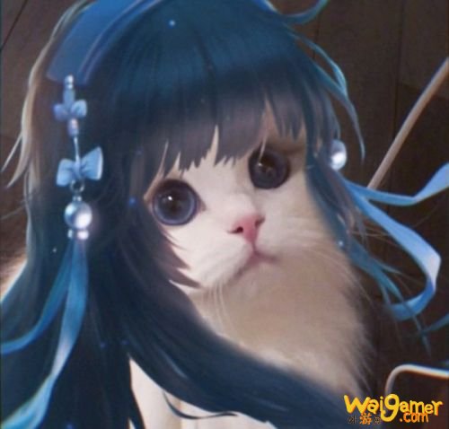 王者荣耀猫咪法师头像汇总 王者荣耀王昭君小乔妲己大乔头像