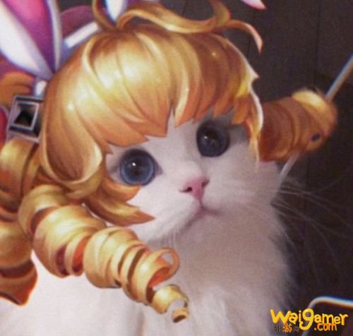 王者荣耀猫咪法师头像汇总 王者荣耀王昭君小乔妲己大乔头像