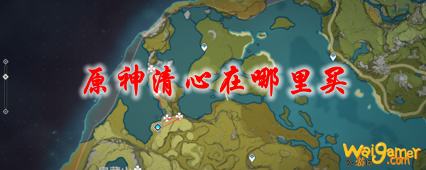 原神清心在哪里买