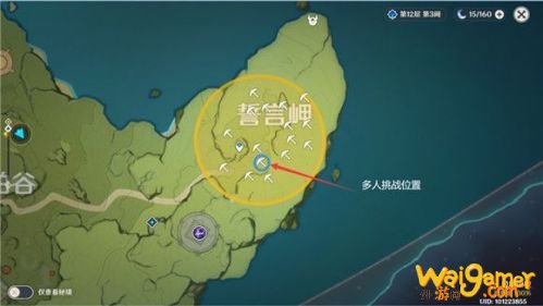 原神誓言峡多人挑战达成条件 原神誓言峡多人挑战位置