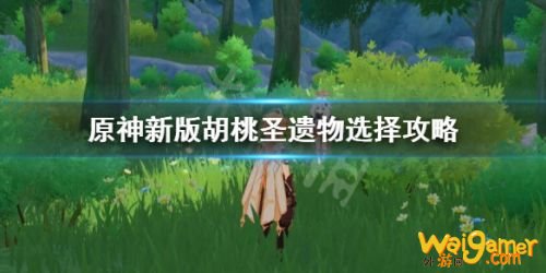原神新版胡桃圣遗物怎么选 原神新版胡桃圣遗物搭配推荐 原神新版胡桃圣遗物怎么选 原神新版胡桃圣遗物搭配推荐