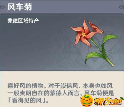 原神 原神风车菊位置在哪里-风车菊位置介绍_原神攻略APP