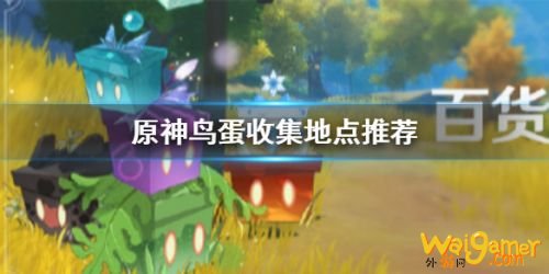 原神手游鸟蛋分布位置一览 原神鸟蛋在哪里采集? 原神手游鸟蛋分布位置一览 原神鸟蛋在哪里采集?
