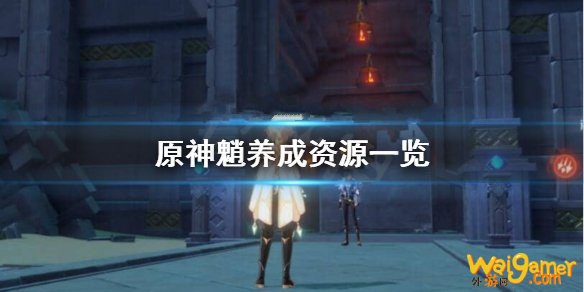 原神魈怎么养?魈养成资源一览