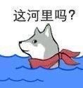 《抖音》这河里吗表情包分享