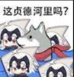 《抖音》这河里吗表情包分享