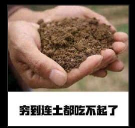 吃圭人梗意思出处介绍