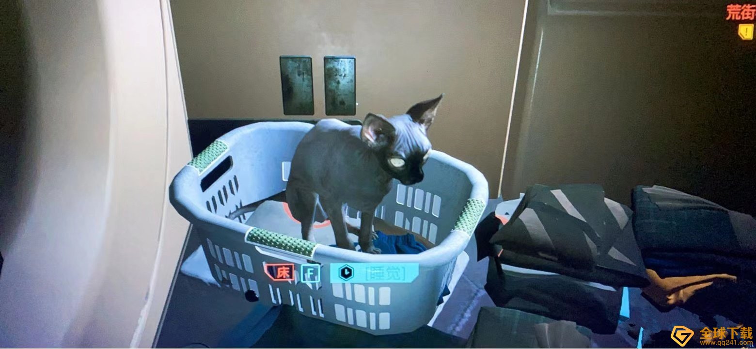 《赛博朋克2077》养猫教程