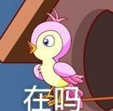 《抖音》七夕布谷鸟是什么梗