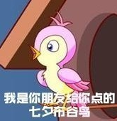 《抖音》七夕布谷鸟是什么梗