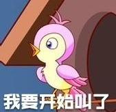 《抖音》七夕布谷鸟是什么梗