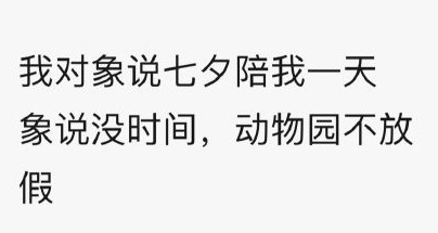 《网络用语》我对象说七夕陪我一天