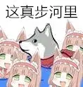 《抖音短视频》抖音这合理吗quin表情包分享