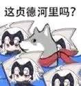 《抖音短视频》抖音这合理吗quin表情包分享