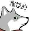《抖音短视频》抖音这合理吗quin表情包分享