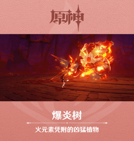 《原神》新怪物爆炎树图鉴一览