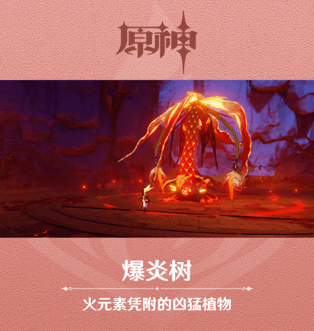 《原神》新怪物爆炎树图鉴一览
