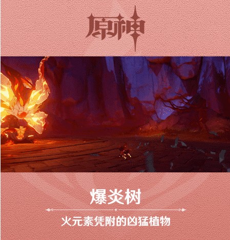 《原神》新怪物爆炎树图鉴一览