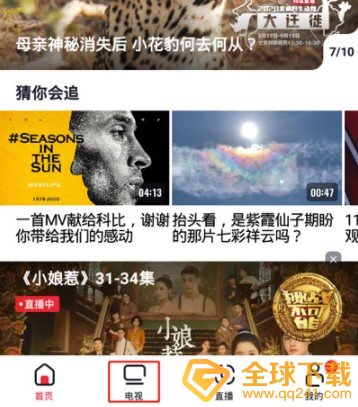 《央视频》看回放方法介绍