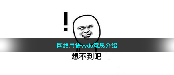网络用语yyds意思介绍