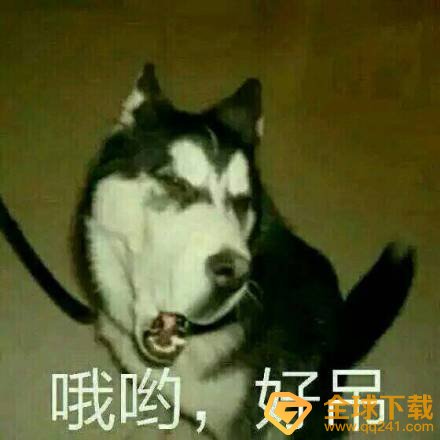 GAI梗的含义及出处介绍