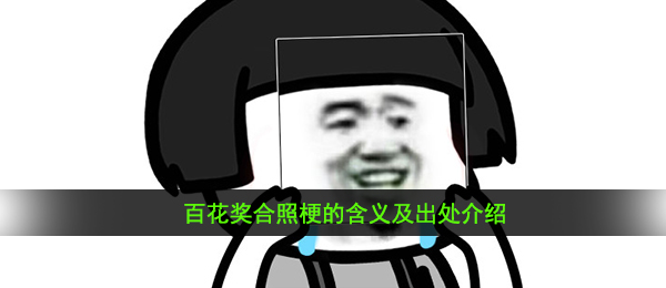 百花奖合照梗的含义及出处介绍