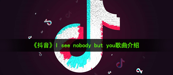 《抖音》I see nobody but you歌曲介绍