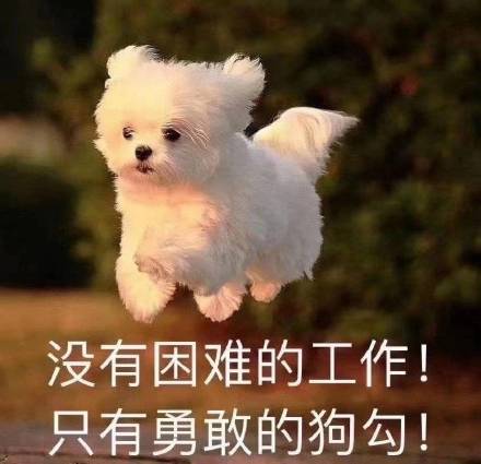 打工人表情包大全分享