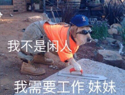 打工人表情包大全分享