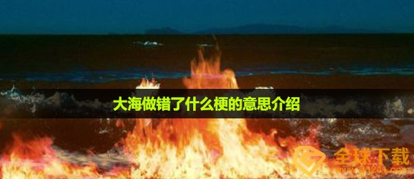 大海做错了什么梗的意思介绍