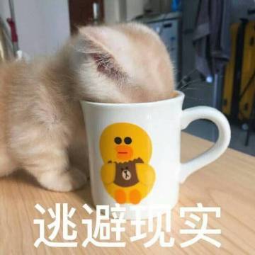 双十一尾款人表情包大全分享