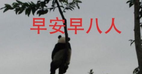 早八人梗的意思介绍