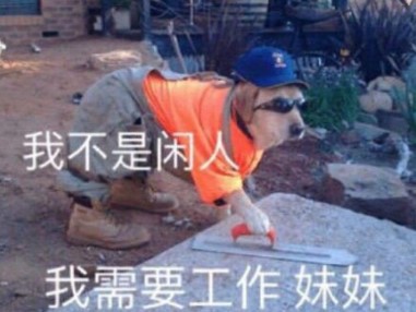 早八人表情包大全分享