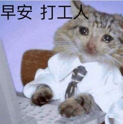 早八人表情包大全分享