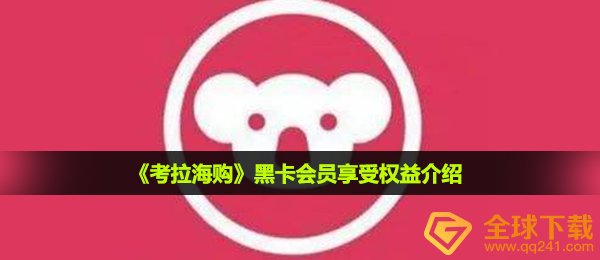 《考拉海购》黑卡会员享受权益介绍