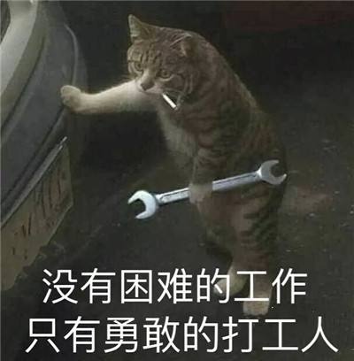 打工人打工魂打工都是人上人下一句介绍