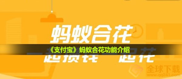 《支付宝》蚂蚁合花功能介绍